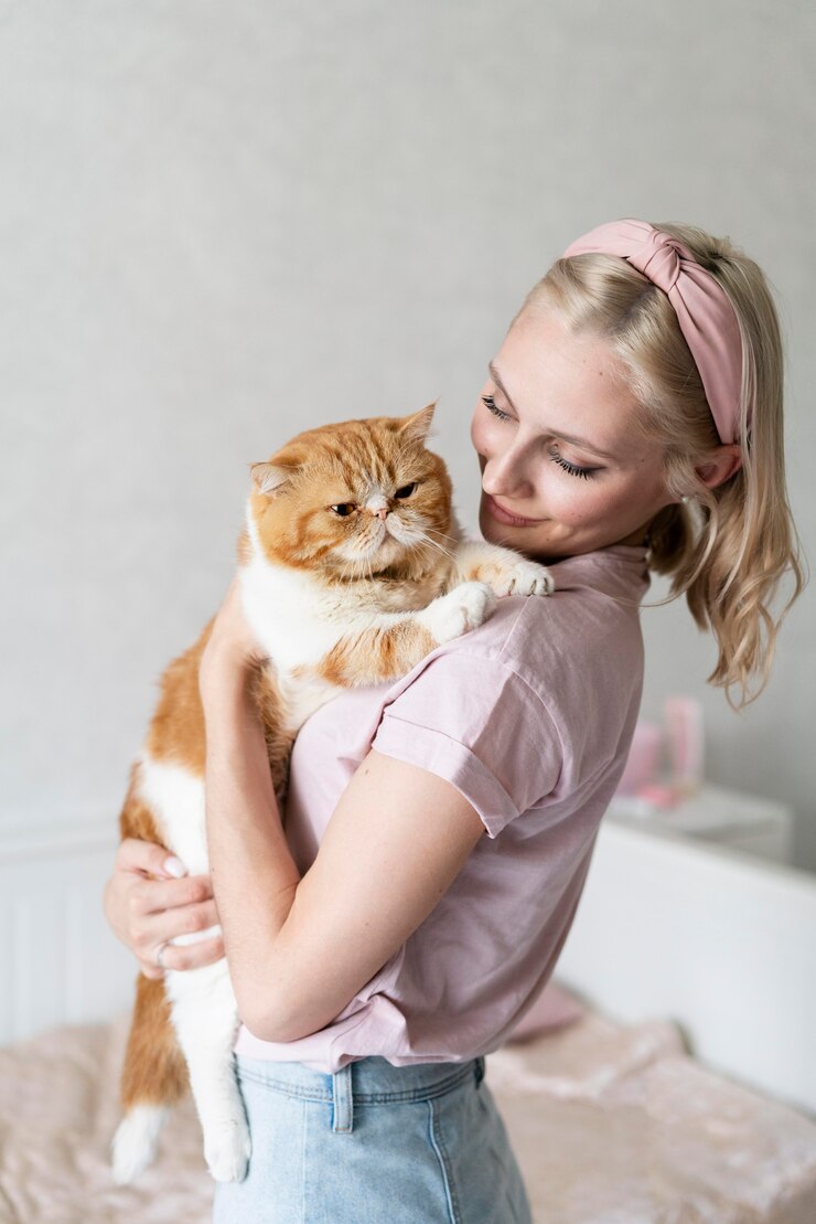 What is Feline Seasonal Mood Changes and How to Address Them?