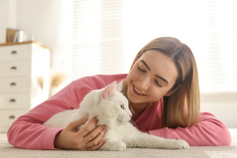 Cat love